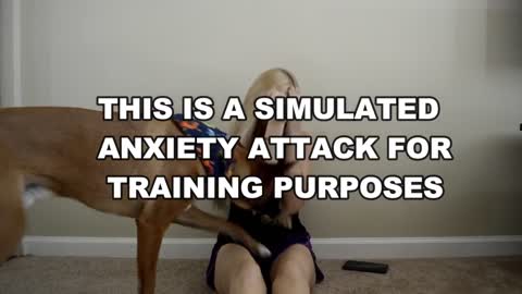 WHAT AN ANXIETY ATTACK LOOKS LIKE WITH A SERVICE DOG