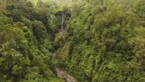 Amazon Rainforest Documentary | The Beautiful World of the Amazon | Animal Videos.