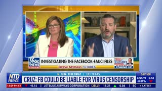Sen. Cruz: Facebook Could Be Liable for Virus Censorship
