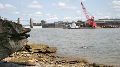 Dredge captured from the shore