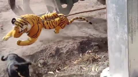 Nice Funny!!! Fake Tiger Prank Dog Run Try To Stop Laugh Challenge 2021