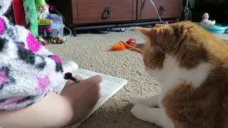 Talented Cat Solves Owner’s Crossword Puzzle By Insinuating The Answer