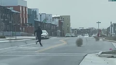 Man Has Fun With Tumbleweeds During Windstorm