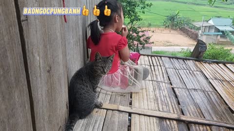 cat and niece