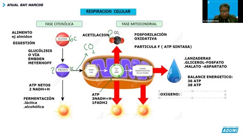 ANUAL ADUNI 2023 | REFORZAMIENTO 03 | BIOLOGÍA TEORÍA