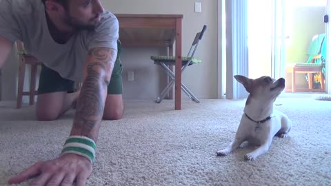 Yoga with dog