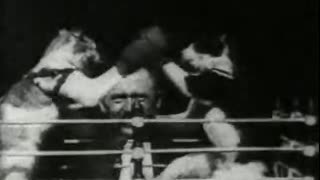Boxing Cats (1894 Film) -- Directed By William K.L. Dickson & William Heise -- Full Movie