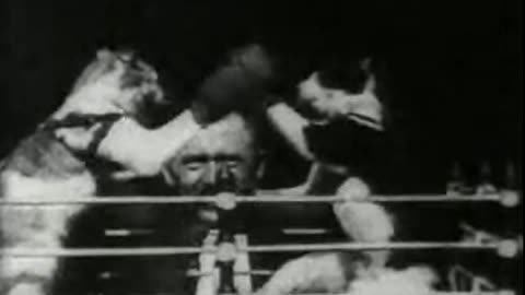 Boxing Cats (1894 Film) -- Directed By William K.L. Dickson & William Heise -- Full Movie