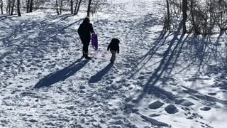 Sledding on a sunny winter’s day