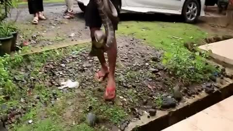 woman catches snake with bare hands