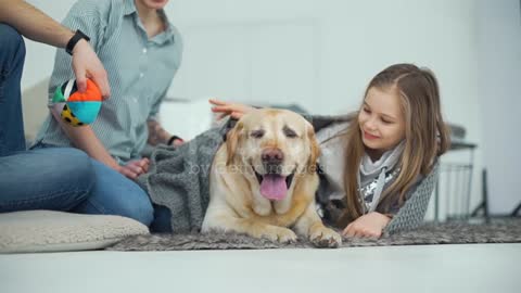 Girl Petting her Dog While Lying on a Rug stock video