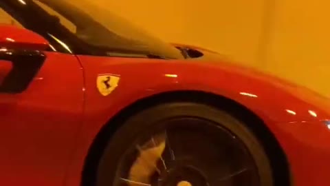 Ferrari car driving video