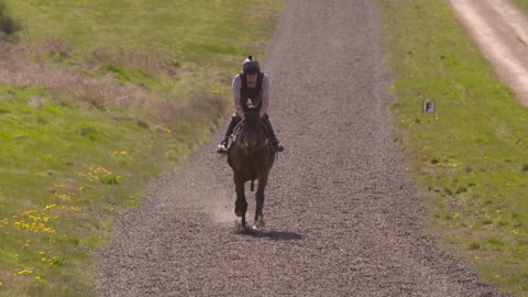 jockey rides his horse in the evening