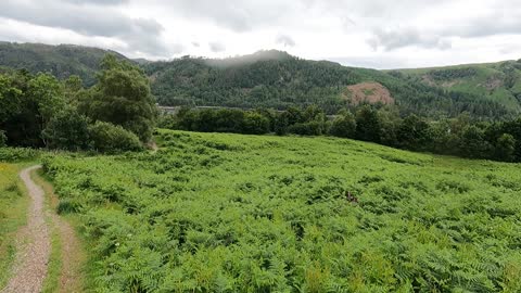 Walking towards Coniston Lake. Lake District. GoPro p