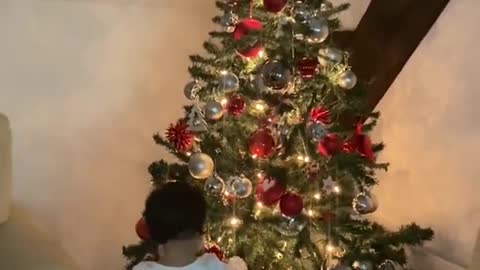 Toddler Knocked Down the Christmas Tree as Mom Rushes To Catch It