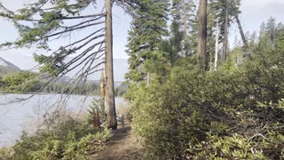 Loving the Lakeside of Suttle Lake – Central Oregon – 4K