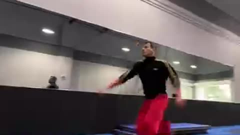 Jump Sidekick Into Spinning Back Kick