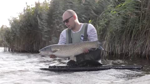 catching-and-releasing-a-big-carp-fish-in-the-lake