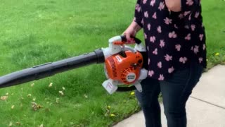 Leaf Blower Fun