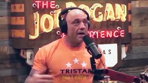 Did Elon Musk Just officially endorse Trump by posting THIS video of Joe Rogan?