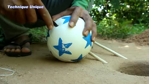 New Creative Unique Bird Trap Using Small Plastic Ball - Rolling Parrot Trap in Hole_p4