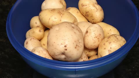 Potato harvest