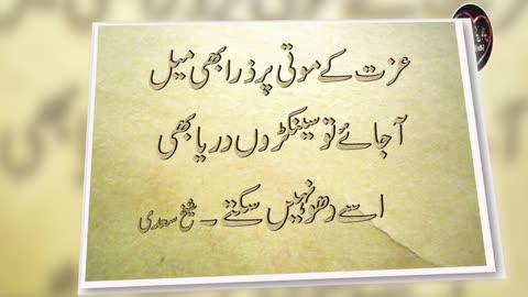 Heart Touching and Amazing Urdu Quotes Collection - Aqwal e Zareen