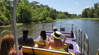 Swamp air boat ride