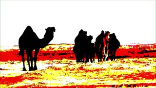 Mad Camel Disease (Remix)
