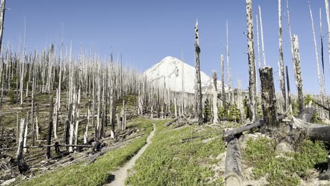 Ascending Steep Tilly Jane Trail – Mount Hood – Oregon – 4K