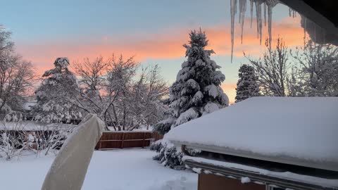 You have to see this!! Spring snow storm in Colorado....