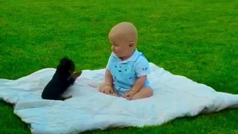 Cute puppy playing with baby