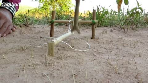 Simple DIY Trap - Amazing Technique Using Wood Bands & Rubber