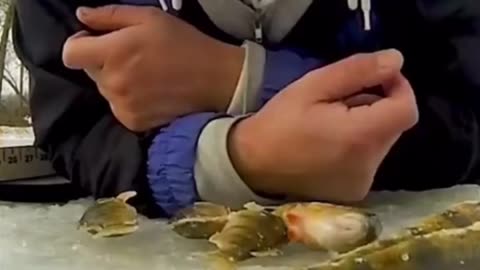 do not attempt this #fishing #aquarium #viral #animals