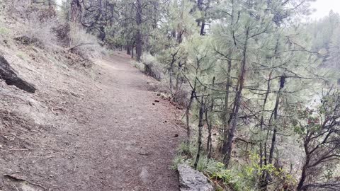 End of Hike, "Northern Section" of Deschutes River Trail – Central Oregon – 4K