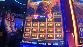 Buffalo Cash Slot Machine Play Bonuses Free Games Fun Play!