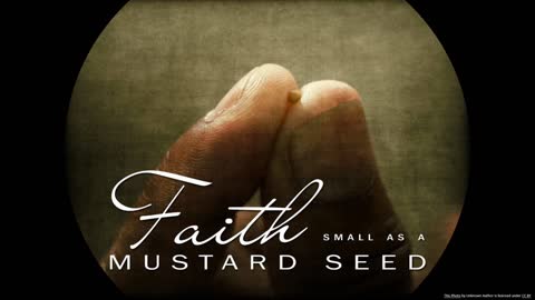 Hebrews 11-1:4 - Faith In Action (Dr. Tony Evans & Colin Smith)