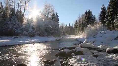 Relax with the sounds of birds and streams