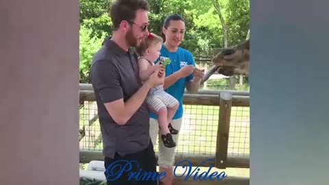 Funny video animals and kids