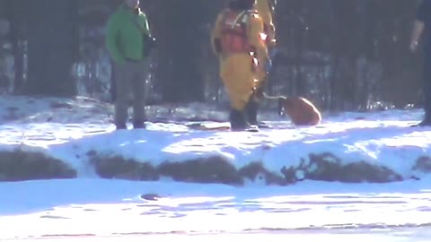 Firefighters Pull Dog From Icy Otonabee River