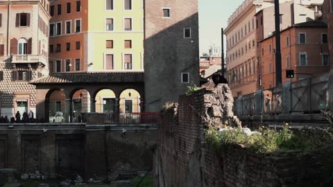 View of square of Largo di Torre Argentina in Rome, Italy. Location of archeological dig