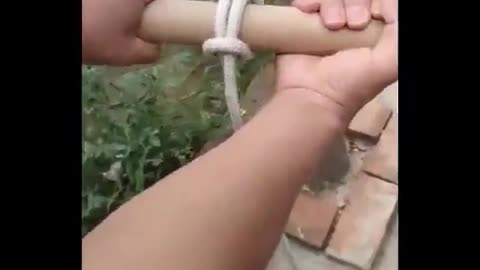 Learning knots and ties