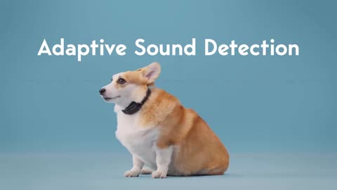 HushPuppy: The World's First AI Dog Bark E-Collar