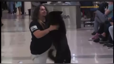 dog reunites with his owner after years of service