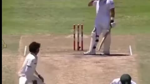 cricket funny moments