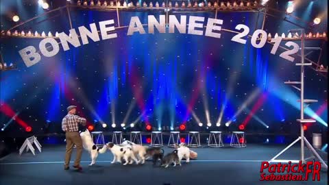 Wolfgang Lauenburger - Dressage de Chiens - Le Plus Grand Cabaret Du Monde