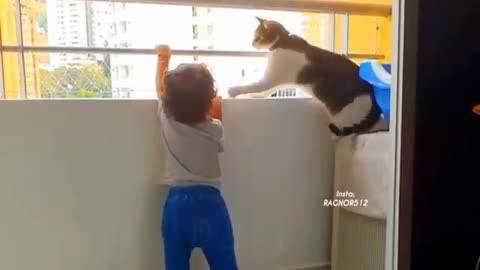 Toddler trying to catch wrong railing and cat stoping him