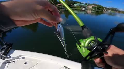 This HIDDEN POND has TROPHY BASS! (Frog Fishing)