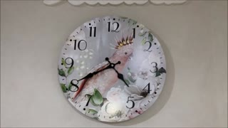 Pink and Grey Gallah Clock