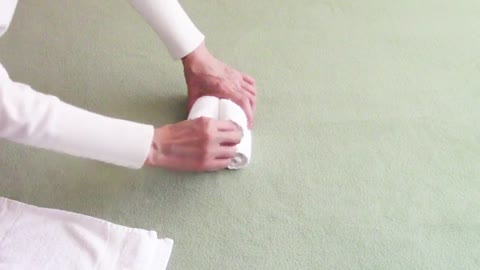Towel Folding - How to Make a Towel Animal Lizard; Towel Origami; Towel Art; Animal de toalla